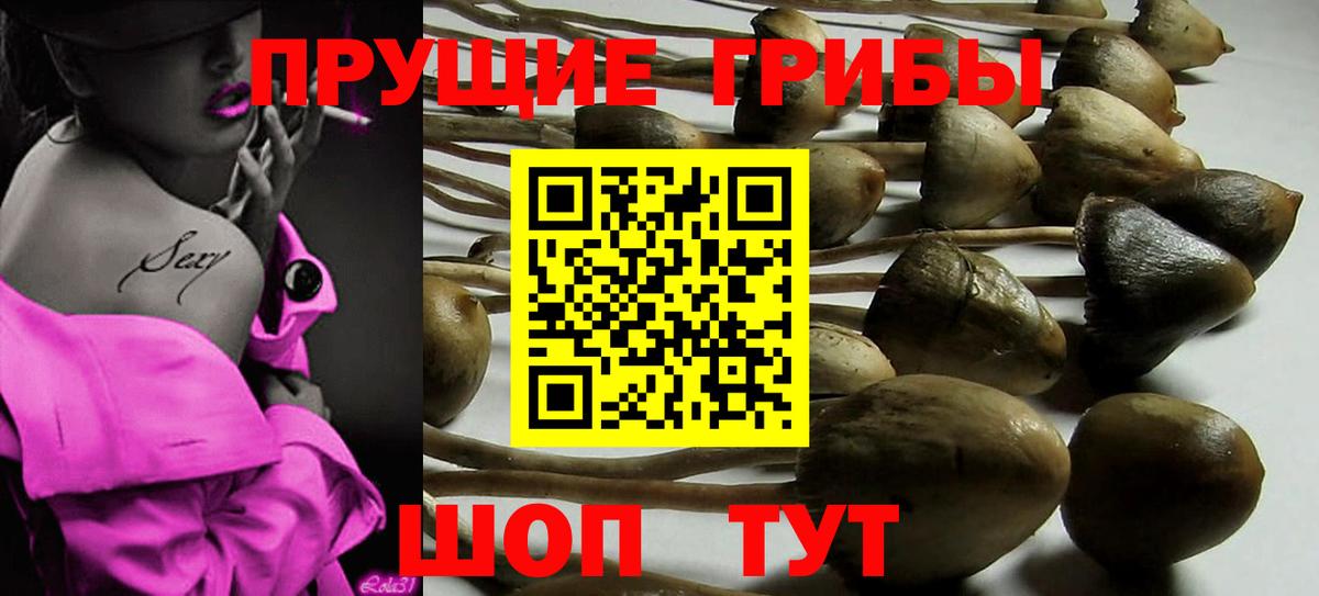 Галлюциногенные грибы GOLDEN TEACHER Тольятти